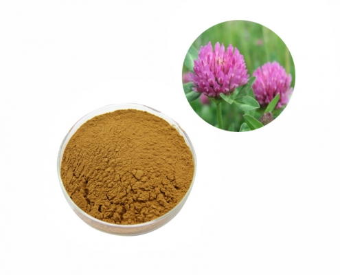 natural health food 8%-40% isoflavones red clover extract powder manufacturer